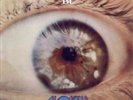 Journey to the Centre of the Eye - Nektar LP
