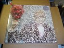 LP:  TY SEGALL - self titled s/t