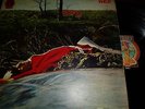SPRING Sping UK original vinyl LP RCA Neon NE6 1971