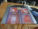 ATOMIC ROOSTER LP MINT 70s FONTANA PROG. PSYCH. TOP ZUSTAND