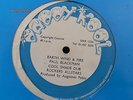 REGGAE DUB paul blackman earth wind and fire