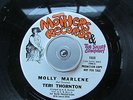 Northern Soul 45 TERI THORNTON 