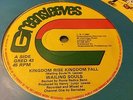 Wailing Souls Kingdom Rise Kingdom Fall Rare Killer Roots 12