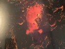 Foals Rain / Daffodils 2016 Rsd 7
