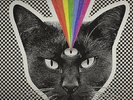 NEVER SHOUT NEVER Black Cat LIMITED CLEAR & BLUE SWIRL VINYL LP 2015