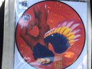 David Bowie Man Who Sold The World RSD 2016 12 Inch Vinyl LP Picture Disc