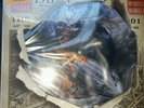 Iron Maiden Empire of the Clouds Picture Disc 6000 vinyl RSD 2016 In Hand
