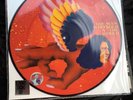 David Bowie The Man Who Sold The World Record Store Day 2016 Picture Disc RSD16