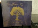 Radical Face Family Tree Leaves Branches Roots Bastards (4LP Box Set) RSD 2016