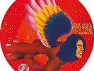 RSD-David-Bowie-Record-Store-Day-2016-Man-Who-Sold-The-World-12-Picture-Disc