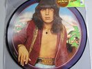 Bill Wyman Monkey Grip LP Picture Disc Rolling Stones RSD 2016