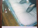 Crystal Castles Doe Deer 12