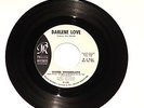 DARLENE LOVE  45rpm WINTER WONDERLAND / CHRISTMAS