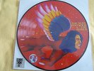 DAVID BOWIE PICTURE DISC THE MAN WHO SOLD THE WORLD RSD 2016 RECORD STORE DAY LP