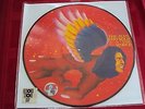 David Bowie The Man Who Sold The World Pic Disc Record Store Day 2016