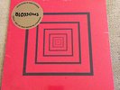 BLOSSOMS - YOU PULLED A GUN ON ME 7
