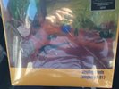 Superchunk Tossing Seeds LP Vinyl Record Store Day