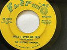 NORTHERN SOUL 45/ THE ELECTRIC BANANA 