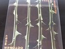 Type O Negative - October Rust - VINYL LP