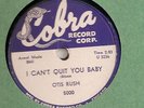 OTIS RUSH I CAN'T QUIT YOU BABY COBRA 78 MINT- CLASSIC CHICAGO BLUES