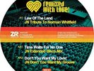 JOEY NEGRO Remixed With Love Vol. 2 RSD 12