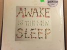 Ben Lee - Awake Is The New Sleep 2LP NEW RSD 2016