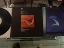IL VOLO LP  ESSERE O NON ESSERE ? rock  PROG ITALIAN   ORIGINALE PROMO NMNM