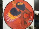 david bowie..the man who sold the world pic disc vinyl record store day only ltd