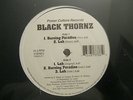 BLACK THORNZ - BURNING PARADISE - LAH RARE RANDOM INDIE RAP 12