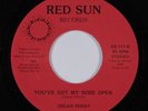 Modern Soul Boogie 45 OSCAR PERRY You've Got My Nose Open RED SUN NM/VG++ HEAR