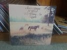 BILL CALLAHAN Sometimes I Wish We Were An Eagle ORIGINAL 1ST PRESS Vinyl LP NM