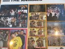 The Animals We Gotta Get Out Of This Place Record Store Day 2016 12