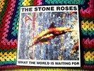 The Stone Roses UK 1989 What The World Is Waiting For/Fools Gold 12 inch Single