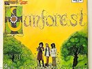 Sound Of Sun Forrest 33 RPM Record Deram Nova Series SDN7 Mills Music 1969