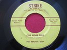 THE REASON WHY - ONE MORE TIME (1967) STRIKE  RARE FLORIDA GARAGE PSYCH 45