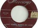 The Dreamers - Mercury 5843 - Ain't Gonna Worry No More ( Very Rare )