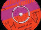 THE HEPTONES/SKINHEAD REGGAE/DOWNTOWN 45/MEANING OF LIFE - VERSION.. RARE