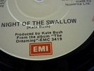 Kate Bush night of the swallow