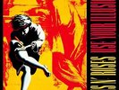 Doble Lp vinilo Guns n' Roses 
