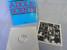 ADOLESCENTS SELF-TITLED ORIGINAL 1981 LP VINYL RECORD FRONTIER FLP 1003 PUNK NM