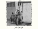 Smith, Patti - Horses / Live At Electric Lady Studios