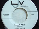 LJV 101 Bobby Wayne VERY RARE orig Rockabilly 45 Near Mint Sally Ann