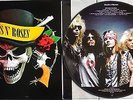 Guns N' Roses Skulls N' Bones Ultimate Rarities SEALED Picture Disc LP W. Cover
