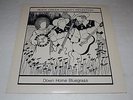 Rock Creek County Rendition Down Home Bluegrass Jimmy Buffet FAST SHIPPING