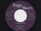 '63 Midwest Rockabilly JIMMY HAYES Tom Cat Bogie/Our Last Rendezvous M- HEAR