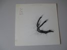 SUN CITY GIRLS-S/T SELF 1ST-1984--RECORDS-ORIG.-PLACEBO 701 NM- INSERT