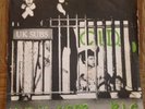 U.K. Subs C.I.D 7 Inch Green Vinyl 1978