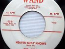 the LEEDS Heaven only knows Mr. Cool DOOWOP 45 on WAND e5817
