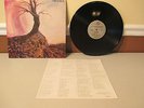 TROUBLE Trouble Self Titled 1984 LP Album Record Vinyl US METAL BLADE MBR 1019