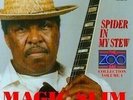 Spider In My Stew - MAGIC SLIM & THE TEARDROPS [CD]